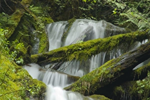 Madison Falls Detail in Elwha River Drainage, Olympic National Park, Washington, US Madison Falls Detail in Elwha River Drainage, Olympic National Park, Washington, US