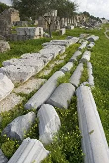 Images Dated 9th March 2003: Marble columns lying on the ground in the hippodrome, Tyre, Lebanon