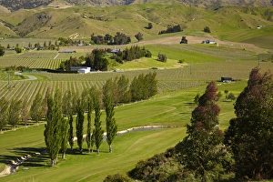 Marlborough Golf Club, vineyard, and farmland near Blenheim, Marlborough, South Island Marlborough Golf Club, vineyard, and farmland near Blenheim, Marlborough, South Island