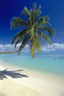 Matira Beach on the island of Bora Bora, Society Islands, French Polynesia Matira Beach on the island of Bora Bora, Society Islands, French Polynesia
