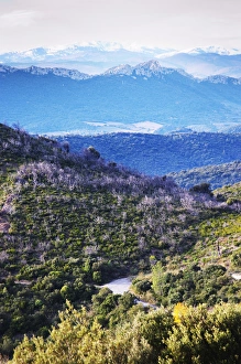 Maury. Roussillon. Spectacular view over the mountains. France. Europe. Mountains Maury. Roussillon. Spectacular view over the mountains. France. Europe. Mountains