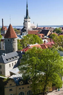 Baltic State Collection: Medieval town walls and spire of St. Olavs church, view of Tallinn from Toompea hill