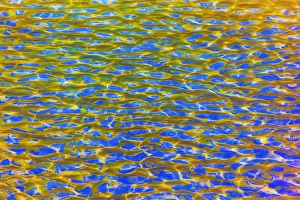 Memorial Pool Blue Yellow Green Reflections Pattenrs Abstract New York NY Memorial Pool Blue Yellow Green Reflections Pattenrs Abstract New York NY