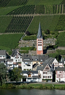 Merl bei Zell, vineyards, Mosel Valley, Rhineland Palatinate, Germany Merl bei Zell, vineyards, Mosel Valley, Rhineland Palatinate, Germany