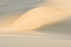 Mesquite Sand Dunes at Dawn in Death Valley NP, CA, USA Mesquite Sand Dunes at Dawn in Death Valley NP, CA, USA