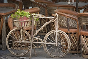 Mexico, Guanajuato. Wooden bicycle with potted plant Mexico, Guanajuato. Wooden bicycle with potted plant