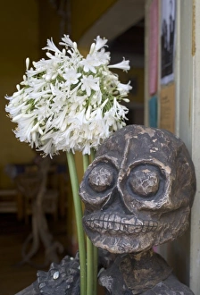 Mexico, Oaxaca, Skull of Day of the Dead skeleton adorned with white flowers at restaurant Mexico, Oaxaca, Skull of Day of the Dead skeleton adorned with white flowers at restaurant