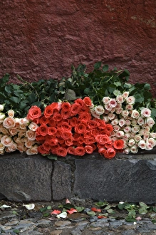 Mexico, San Miguel de Allende, Roses for sale on street Mexico, San Miguel de Allende, Roses for sale on street