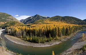 Middle Fork of the Flathead River in autumn near Essex Montana Middle Fork of the Flathead River in autumn near Essex Montana