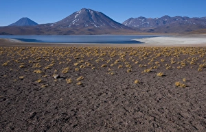 Miniques Lake is a brackish water lake located in the altiplano of the Antogafasta region Miniques Lake is a brackish water lake located in the altiplano of the Antogafasta region
