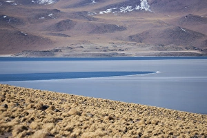 Miscanti Lake is a brackish water lake located in the altiplano of the Antogafasta region Miscanti Lake is a brackish water lake located in the altiplano of the Antogafasta region