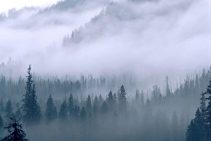 Mist and fog shroud the Selway-Bitteroot mountains in north central Idaho Mist and fog shroud the Selway-Bitteroot mountains in north central Idaho