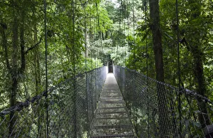 Mistico Arenal Hanging Bridges Park in Arenal, Costa Rica Mistico Arenal Hanging Bridges Park in Arenal, Costa Rica