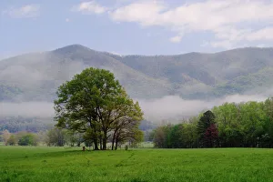 Misty meadow and Rich Mountain, Cades Cove, Great Smoky Mountains National Park Misty meadow and Rich Mountain, Cades Cove, Great Smoky Mountains National Park