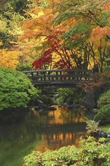Moon Bridge in Autumn: Portland Japanese Garden, Portland, Oregon, USA Moon Bridge in Autumn: Portland Japanese Garden, Portland, Oregon, USA