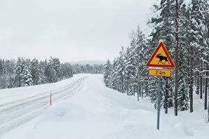 Moose crossing sign on snowy winter road, Lapland, North Finland