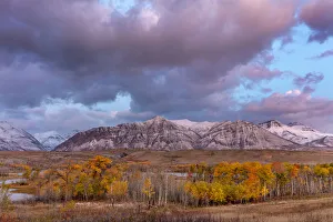Morning light on autumn aspen groves along Maskinonge Lake in Waterton Lakes National Park Morning light on autumn aspen groves along Maskinonge Lake in Waterton Lakes National Park