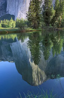 Morning light on El Capitan reflected in the Merced River, Yosemite Valley Morning light on El Capitan reflected in the Merced River, Yosemite Valley