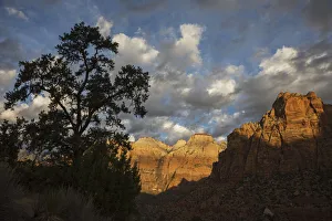 Zion National Park Gallery: Morning light, Zion National Park