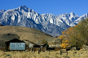 A morning view of Mount Whitney from Lone Pine A morning view of Mount Whitney from Lone Pine