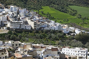 MOROCCO, Moulay, Idriss: Town View from the South MOROCCO, Moulay, Idriss: Town View from the South