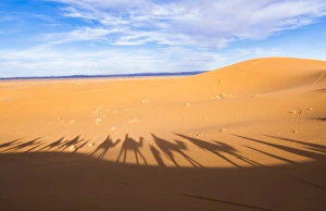 Morocco Sahara Desert sand dunes in Las Palmeras area with shadows of tourists riding Morocco Sahara Desert sand dunes in Las Palmeras area with shadows of tourists riding