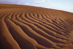 Morocco, Tinfou (near Zagora), Sand dunes, deeply furrowed by strong winds in the Morocco, Tinfou (near Zagora), Sand dunes, deeply furrowed by strong winds in the