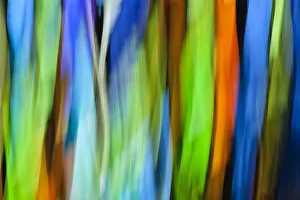 Images Dated 9th March 2010: A motion-blur of a stain glass window