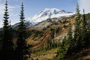 Images Dated 19th October 2008: Mount Rainier National Park, autumn