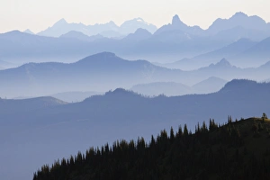 Mount Rainier National Park, Cascade Mountains Mount Rainier National Park, Cascade Mountains