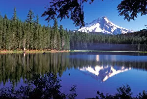 Images Dated 24th October 2005: Mt. Hood reflected in Frog Lake, Oregon