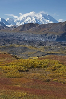 Mt. McKinley, tallest peak in North America towers 20, 320 over brightly colored Mt. McKinley, tallest peak in North America towers 20, 320 over brightly colored