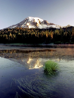 Mt. Rainier is captured in Reflection Lake at peak of summer Mt. Rainier is captured in Reflection Lake at peak of summer