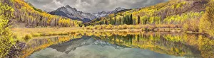 Mt. Snaffles and a sea of gold Aspen trees reflects in a large pond in autumn in the Mt. Snaffles and a sea of gold Aspen trees reflects in a large pond in autumn in the