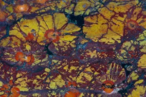 Images Dated 30th August 2012: Multicolored Mineral