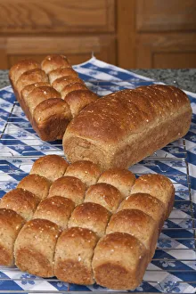 Multigrain rolls and loaf on cooling rack on counter covered by tea towel Multigrain rolls and loaf on cooling rack on counter covered by tea towel
