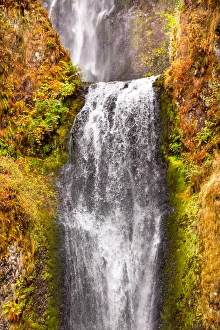 Multnomah Falls Waterfall Autumn, Fall Columbia River Gorge, Oregon, Pacific Northwest Multnomah Falls Waterfall Autumn, Fall Columbia River Gorge, Oregon, Pacific Northwest