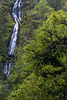 Munson Creek Falls near Tillamook, Oregon, USA Munson Creek Falls near Tillamook, Oregon, USA