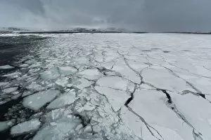 Murchison Bay, Murchisonfjorden, Nordaustlandet, Svalbard Islands, Norway