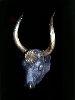 Images Dated 12th October 2005: Mycenaean bulls head rhyton, Shaft Grave IV NOTE: This image avail. up to 100MB