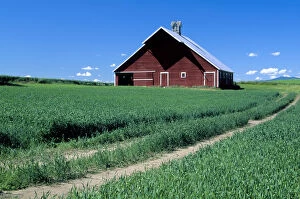 Images Dated 13th February 2004: N. A. USA, Idaho, Latah county, near Genesee. Red barn in wheatfield. PR