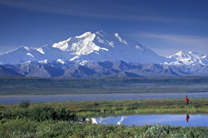 NA, USA, Alaska, Denali NP Mt. McKinley (20, 320 feet) A lone hiker NA, USA, Alaska, Denali NP Mt. McKinley (20, 320 feet) A lone hiker