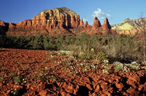 Images Dated 24th August 2004: NA, USA, Arizona, Sedona. Red Rock county