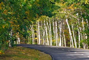 NA, USA, Maine. Road thru Acadia National Park NA, USA, Maine. Road thru Acadia National Park
