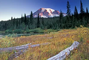 Images Dated 5th January 2005: NA, USA, Washington, Reflection lakes area, Mount Rainier, meadow with logs