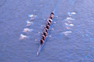 NA, USA, Washington, Seattle, Crew Rowing in Motion NA, USA, Washington, Seattle, Crew Rowing in Motion