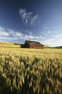 Images Dated 20th July 2004: NA, USA, Washington State, Saint John, Red Barn in Harvest Time Wheat Field. PR