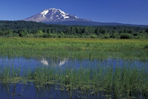 NA, USA, Washington, Trout Lake Mt. Adams and Trout Lake; summer NA, USA, Washington, Trout Lake Mt. Adams and Trout Lake; summer