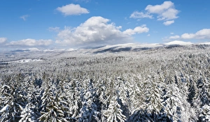 National Park Bavarian Forest (Bayerischer Wald) in the deep of winter. View towards mount Lusen National Park Bavarian Forest (Bayerischer Wald) in the deep of winter. View towards mount Lusen