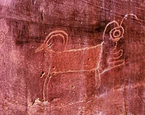 Images Dated 2nd July 2013: Native American Indian Fremont Sheep Goat Petroglyph Sandstone Mountain Capitol Reef